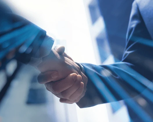 Undergoing Mergers or Acquisitions